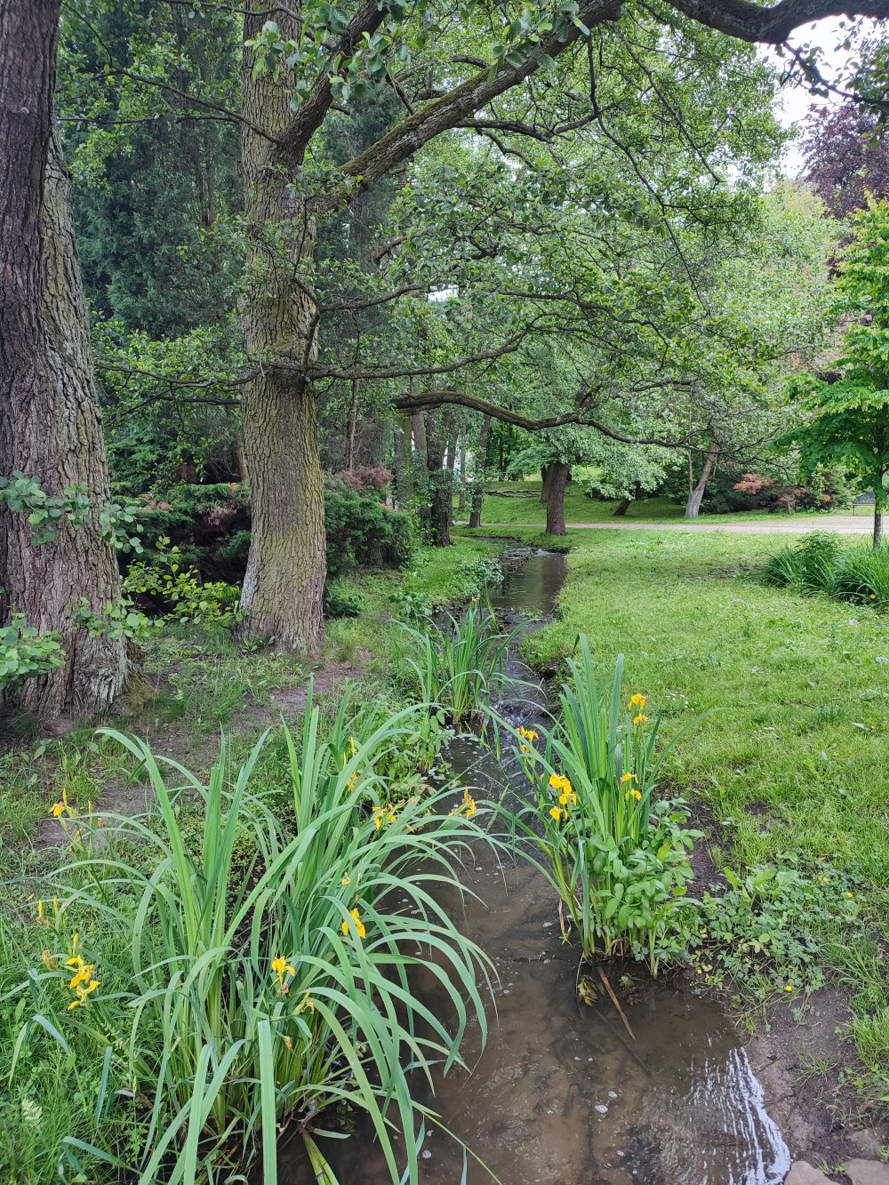 A Photo of Orunia Stream