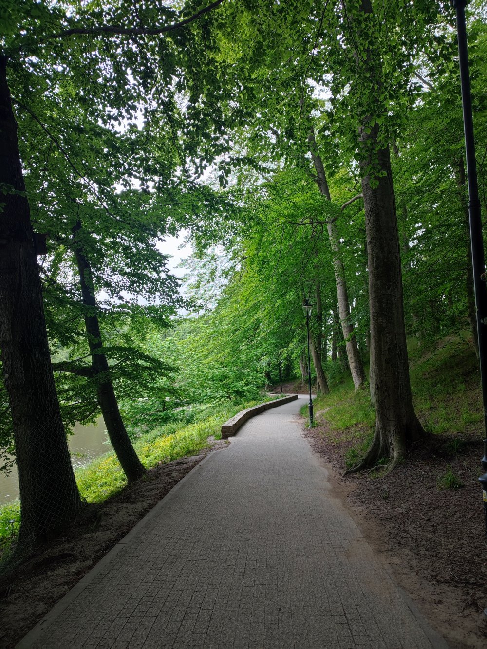 A Photo of the Southern Path