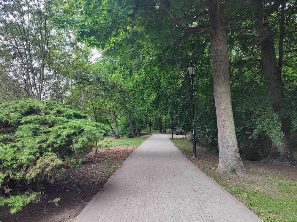 A Photo of the Northern Path